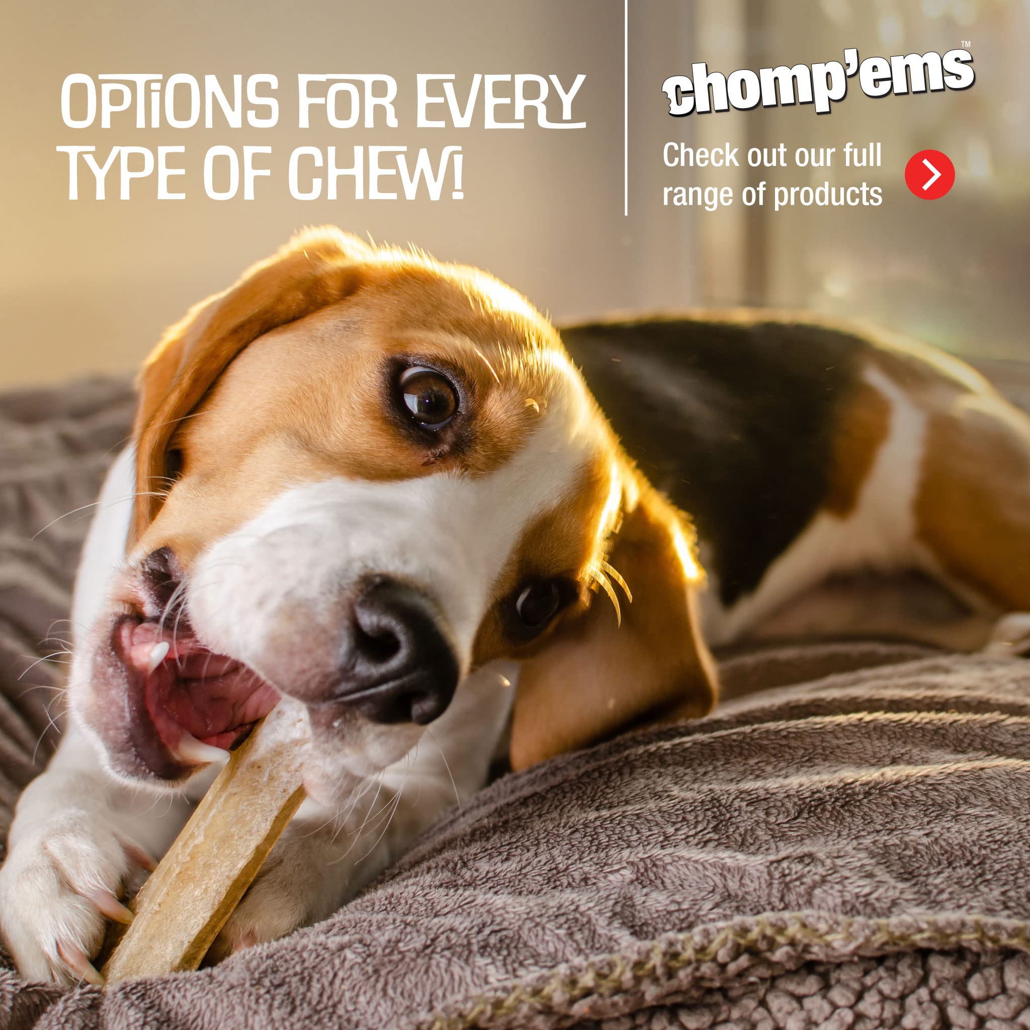 Unwrapped CHOMP 'EMS Purehide bars beside dog bowl for treating.