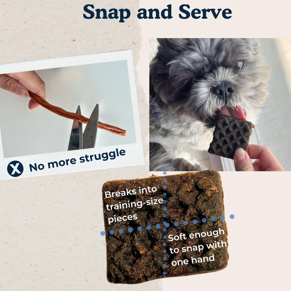 Chompagne Barkfast waffle shapes break cleanly for training sessions without mess.