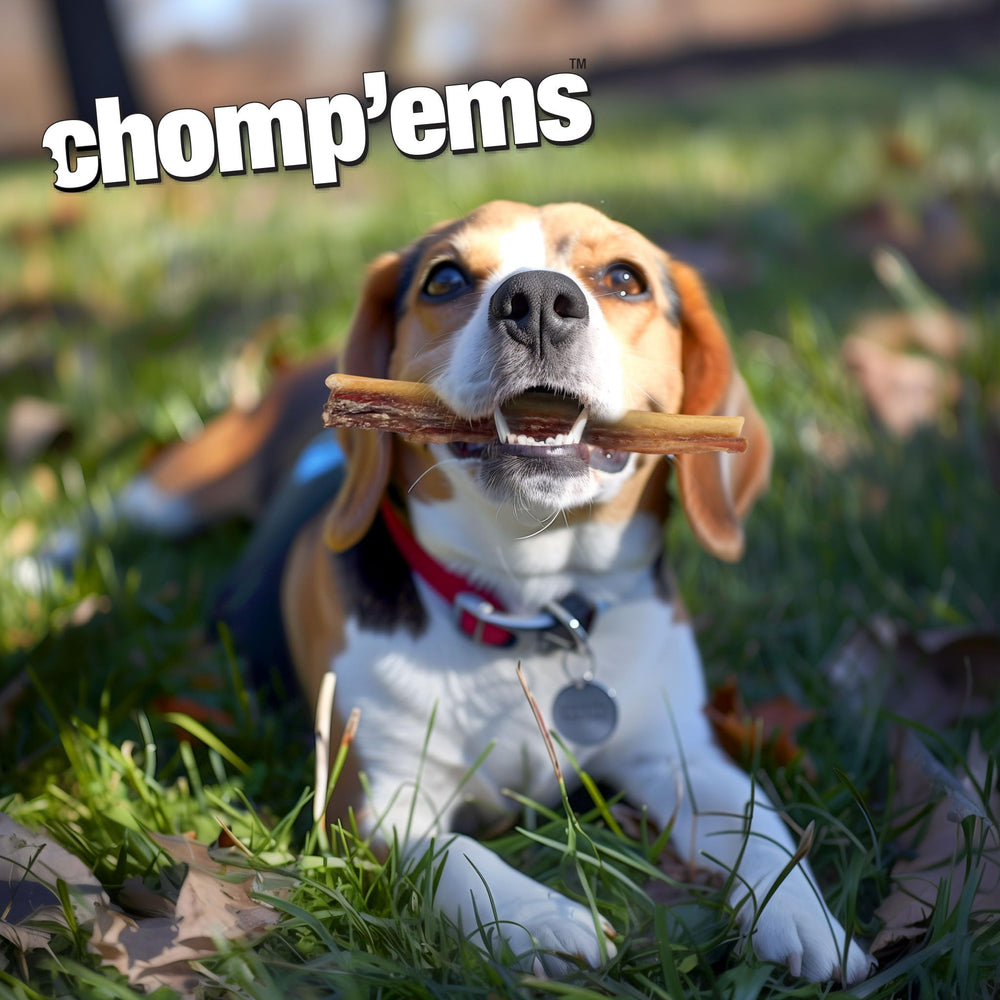 No chemical processing badge on CHOMP EMS Purehide sticks.