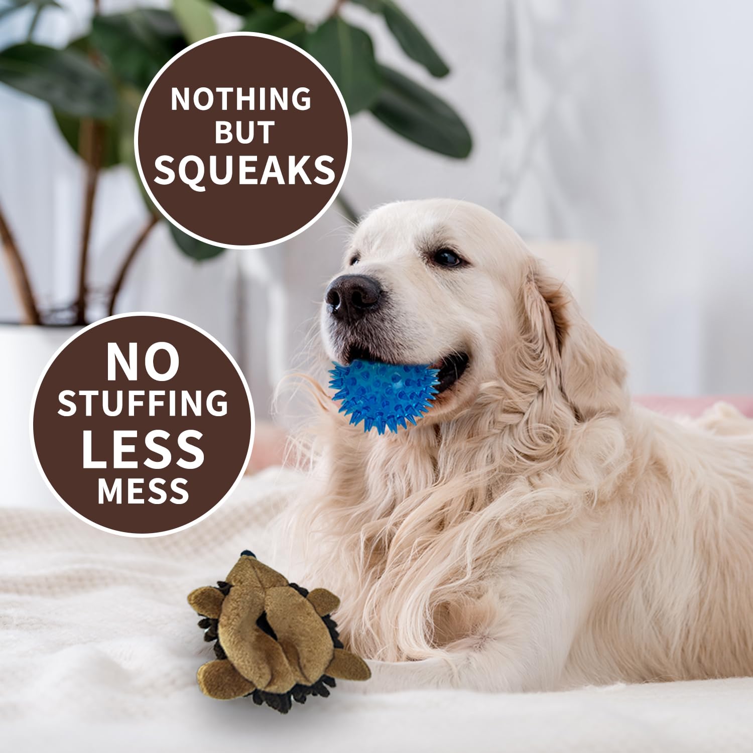 Chongqile no-stuffing plush hedgehog reduces cleanup after energetic sessions
