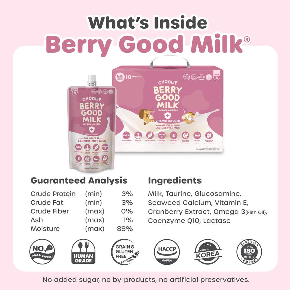 Cat and dog mealtime moment with Choolip Berry Good Milk.