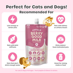 Label closeup showing Cranberry CoQ10 and Omega-3 ingredients in Choolip.