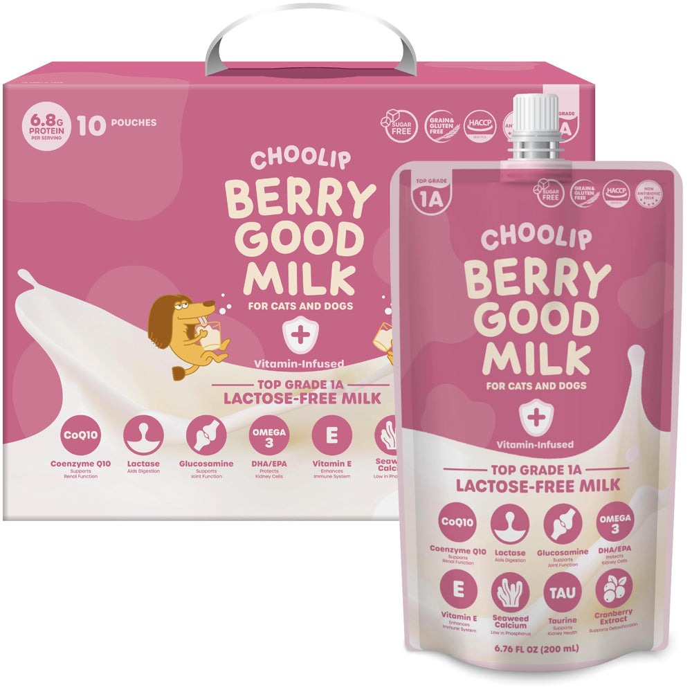 Choolip Berry Good Milk pouch front view for lactose-free hydration.