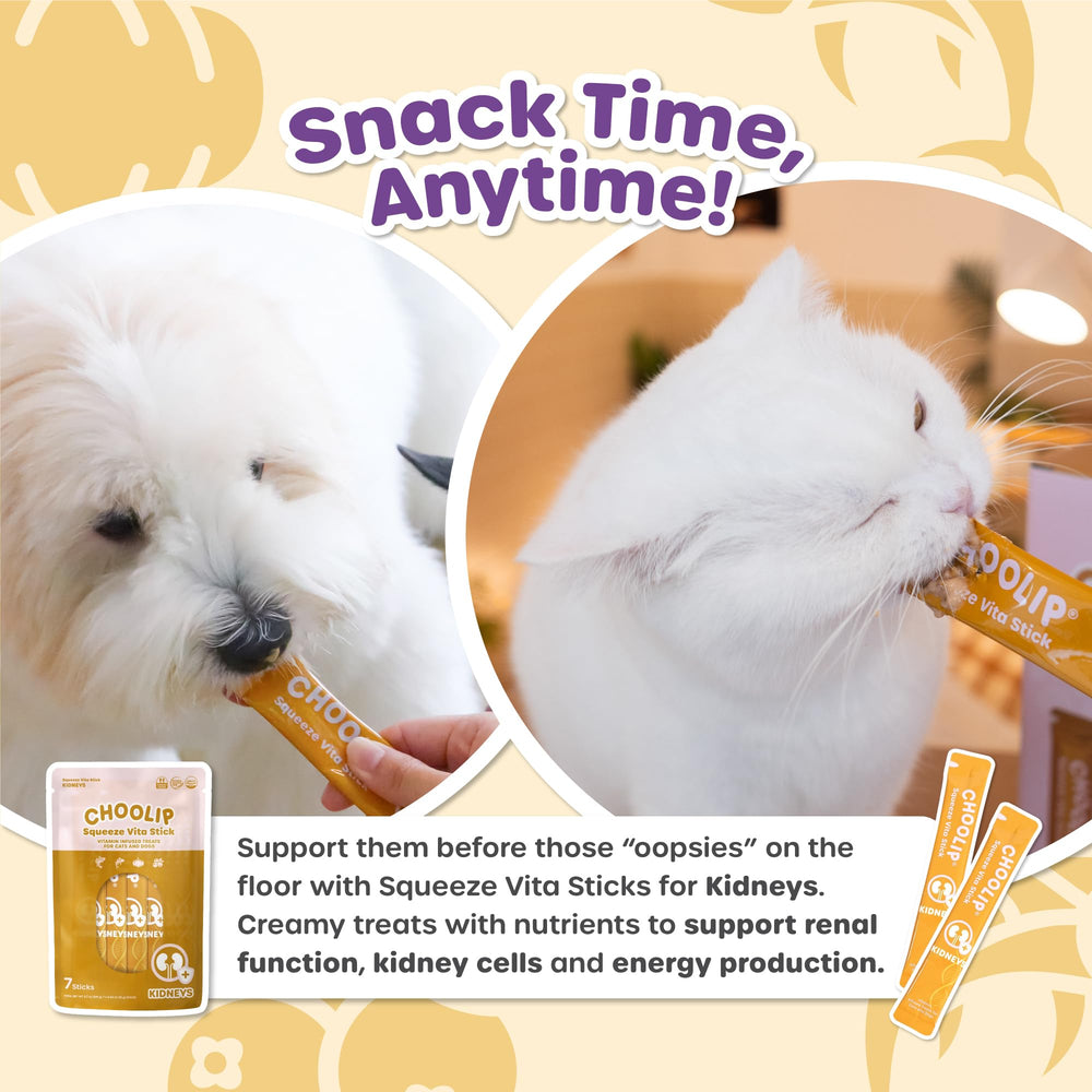 Choolip Squeeze Vita Stick enriched with CoQ10 for kidney cell health.