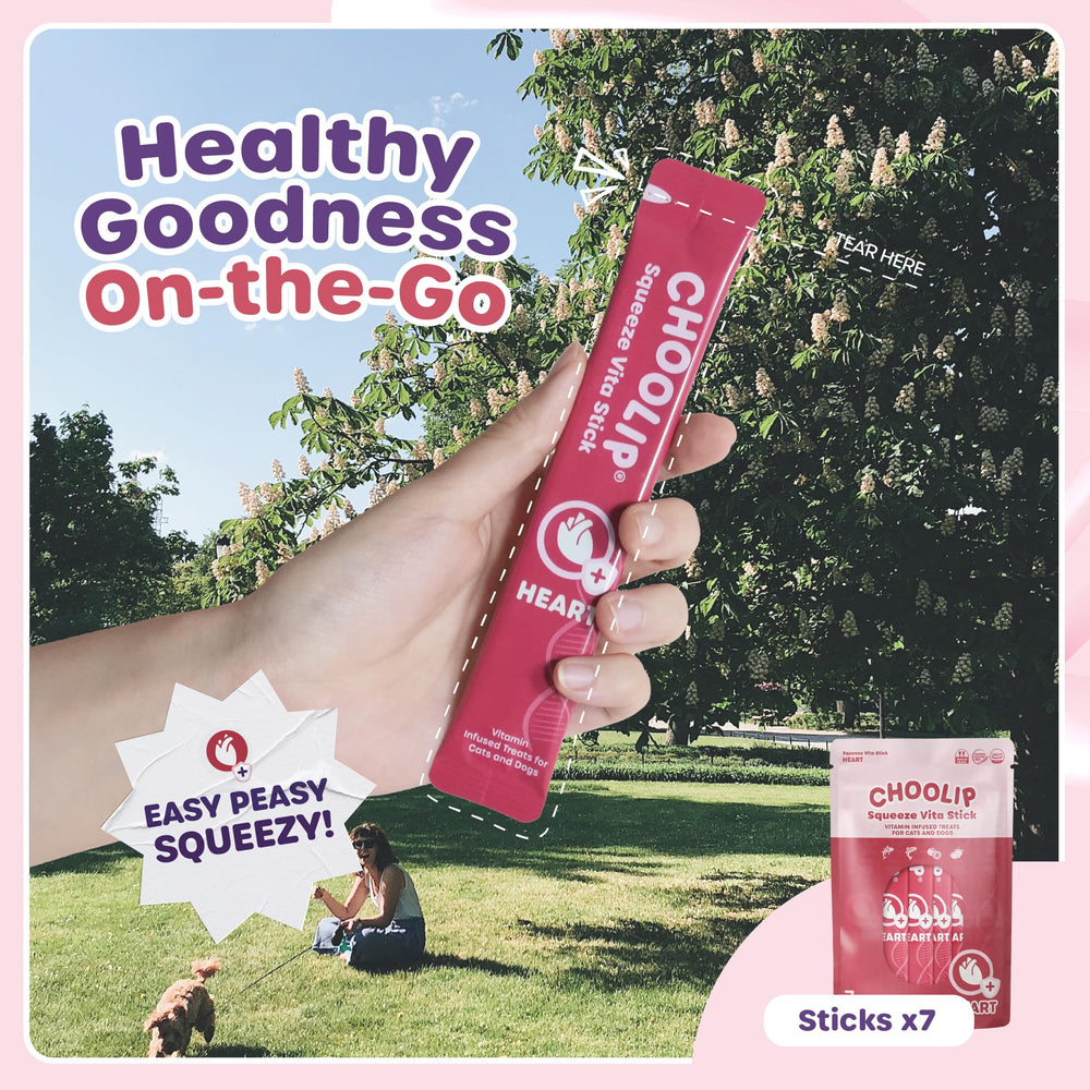 Choolip Squeeze Vita Stick freeze-ready snack image for cool treats.