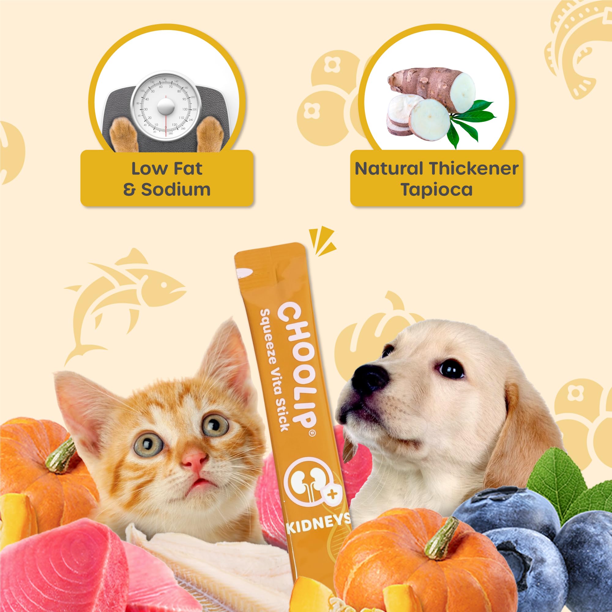 Choolip Squeeze Vita Stick frozen snack option for hydration