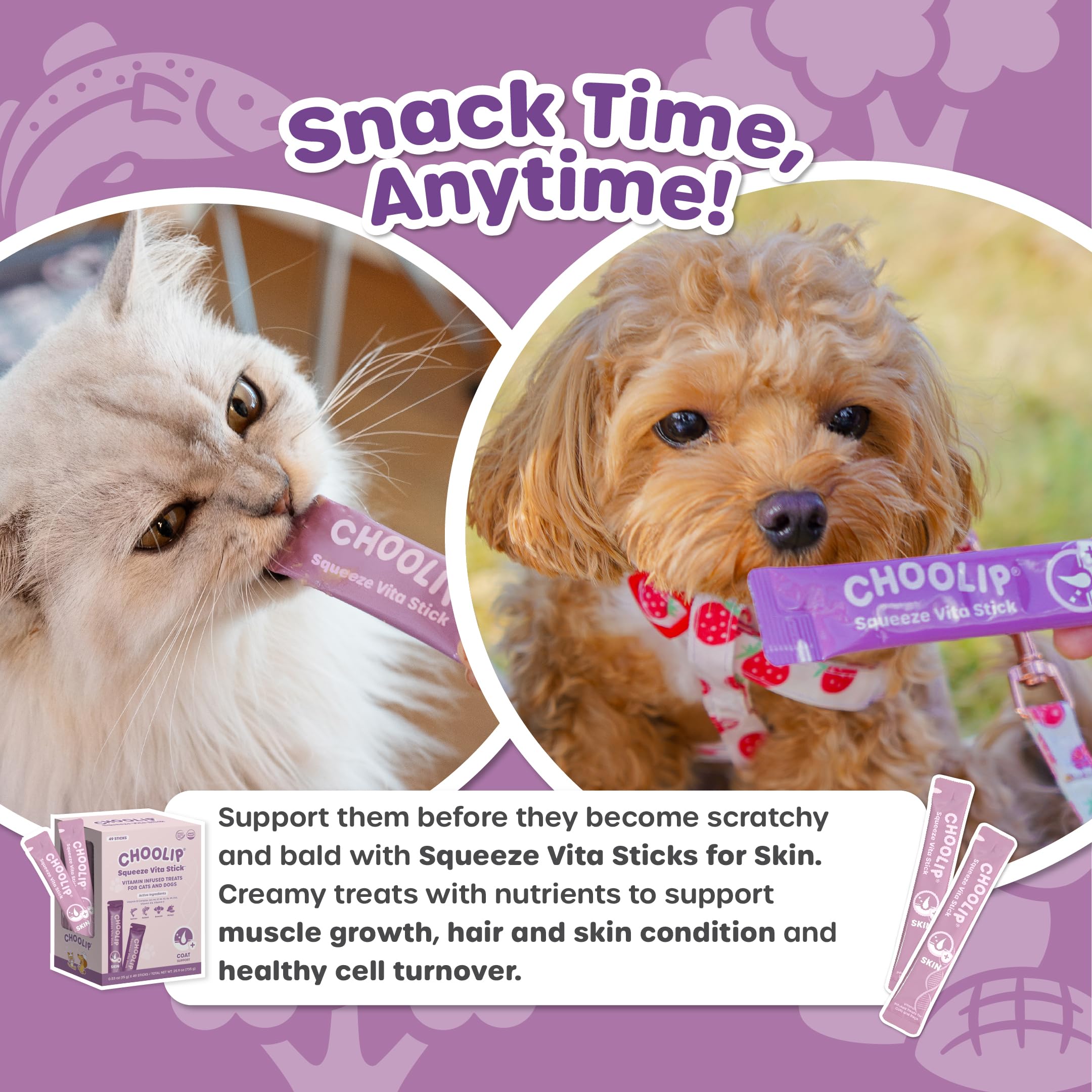 Choolip Squeeze Vita Stick frozen treat option for refreshing rewards