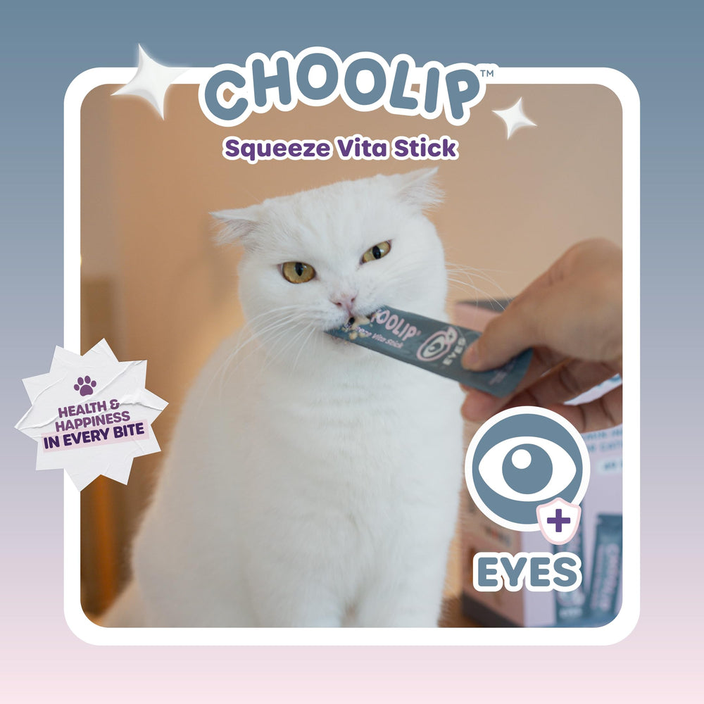 Choolip Squeeze Vita Stick lickable treat for indoor pets