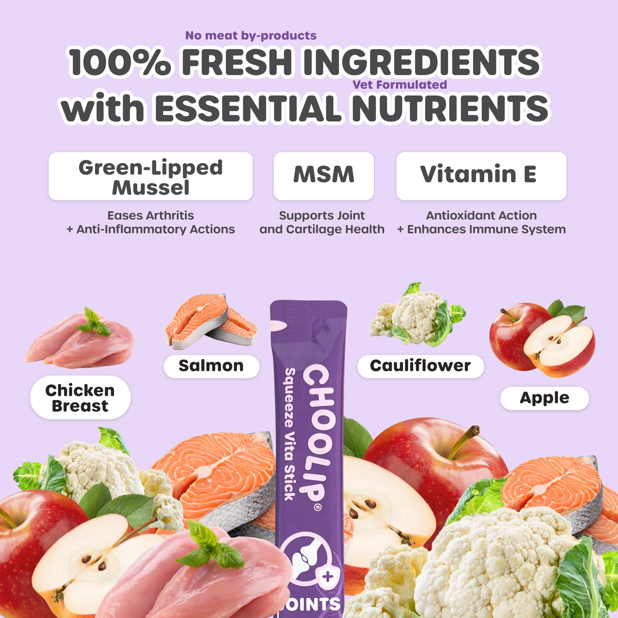 Choolip Squeeze Vita Stick packaging back shows ingredients and feeding options