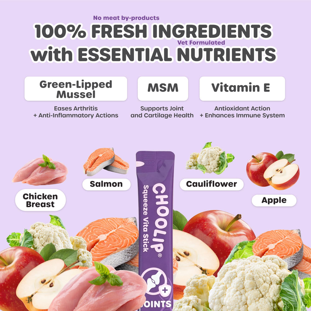 Choolip Squeeze Vita Stick packaging back shows ingredients and feeding options