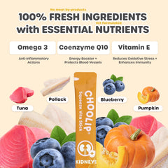 Choolip Squeeze Vita Stick pumpkin-blueberry blend with CoQ10 for daily wellness.