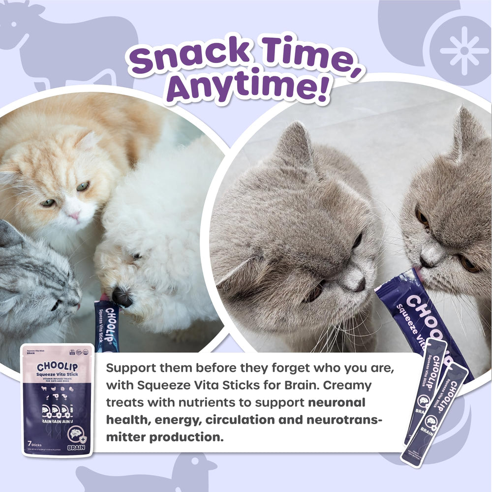 Choolip Squeeze Vita Stick served over kibble for added flavor and texture.