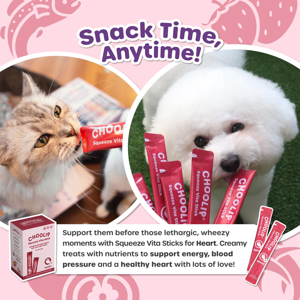 Choolip Squeeze Vita Stick hand-feeding moment illustrating easy serving.