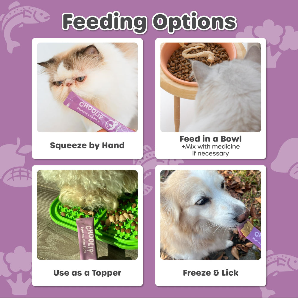Choolip Squeeze Vita Stick serving ideas as toppers for meals