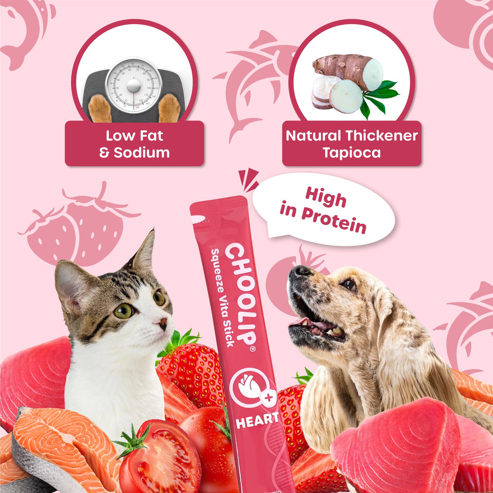 Choolip Squeeze Vita Stick taurine lcarnitine coq10 illustration highlighting heart nutrients.