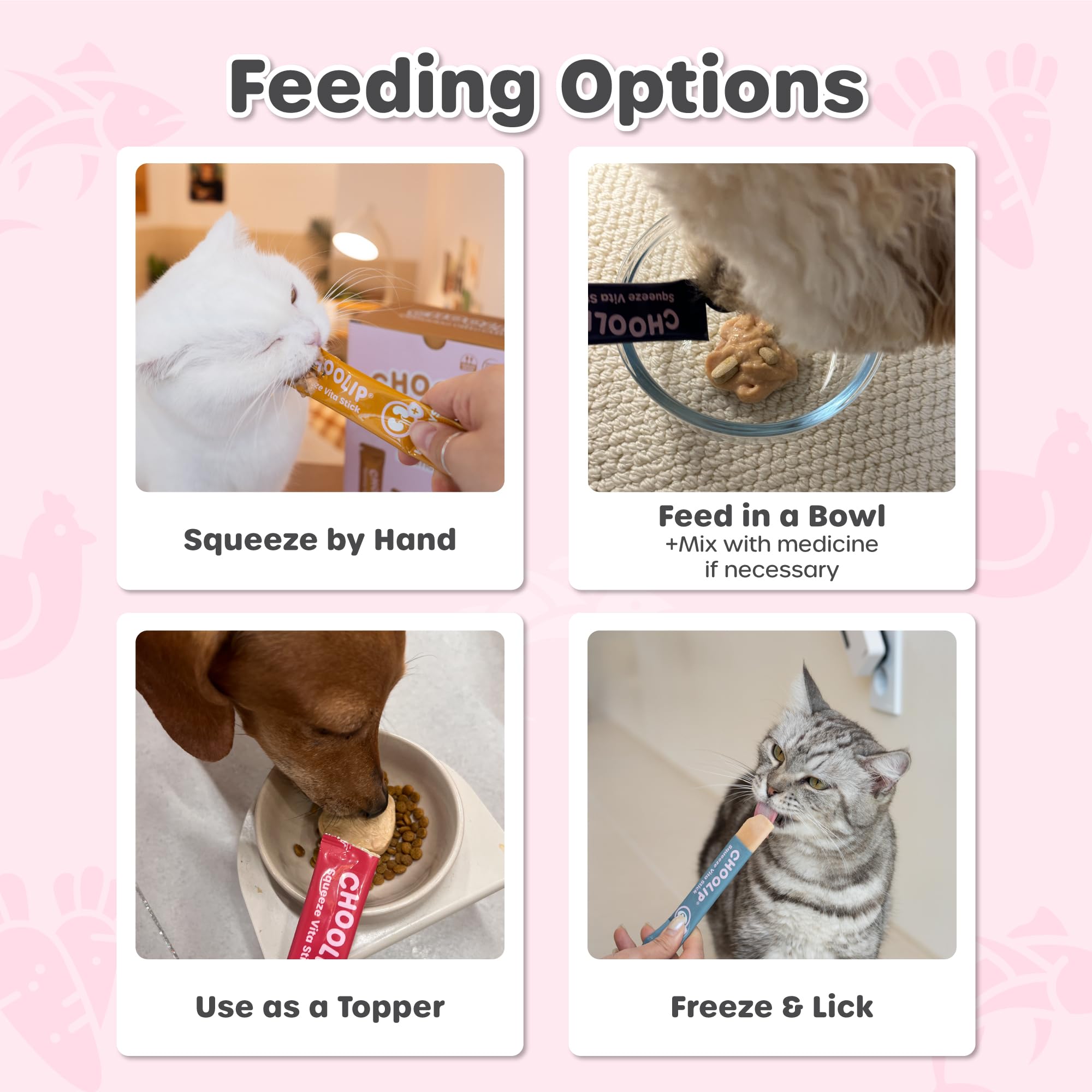 Choolip Squeeze Vita Stick used as a reward during pet training.