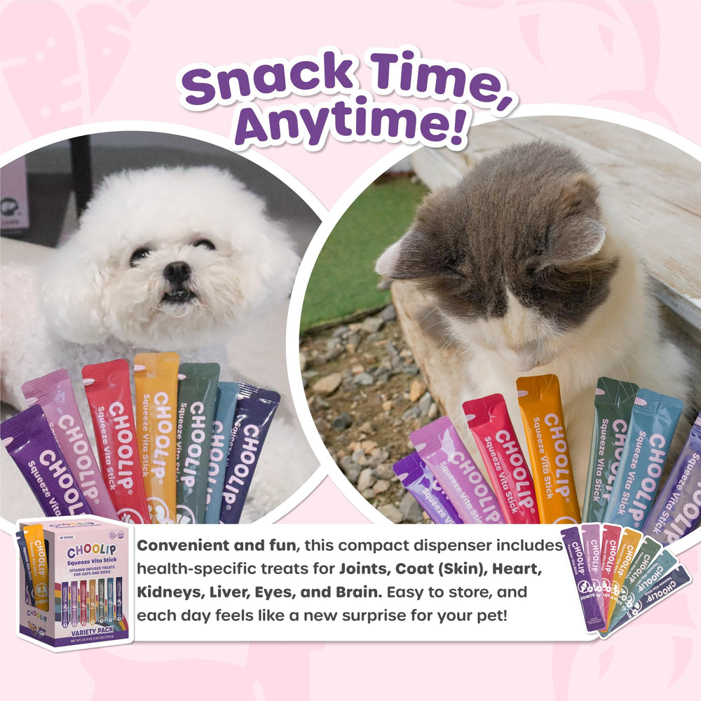 Choolip Squeeze Vita Stick training session reward and bonding moment.