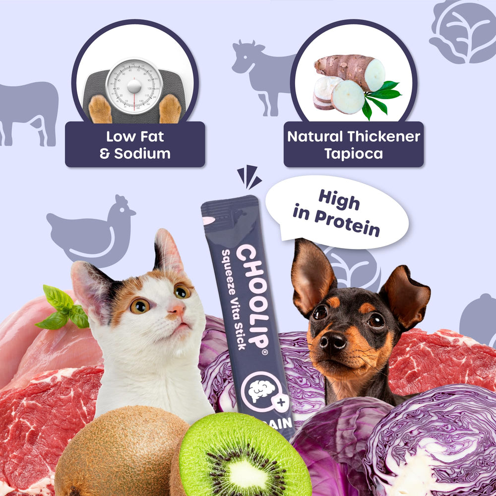 Choolip Squeeze Vita Stick pet enjoying a tasty treat time.
