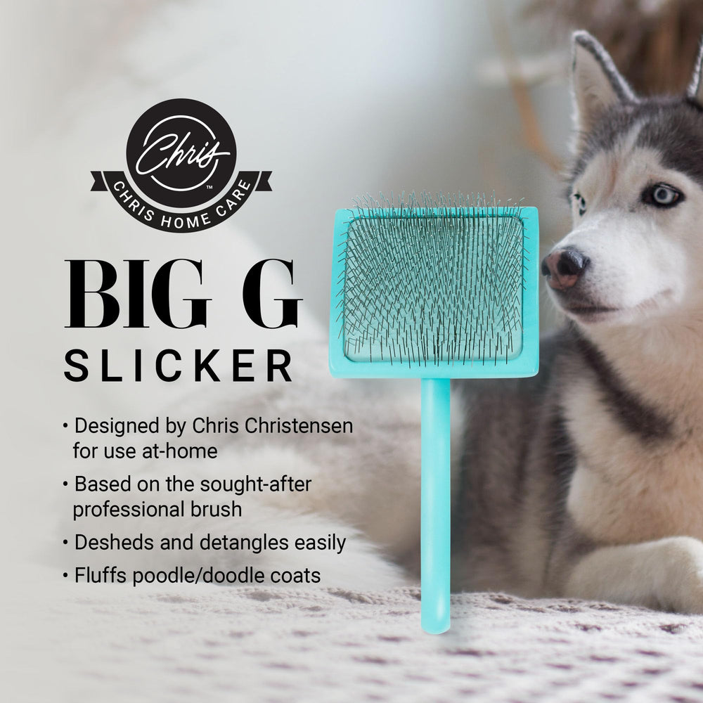 Teal Big G Slicker Brush large side view held for comfortable grooming
