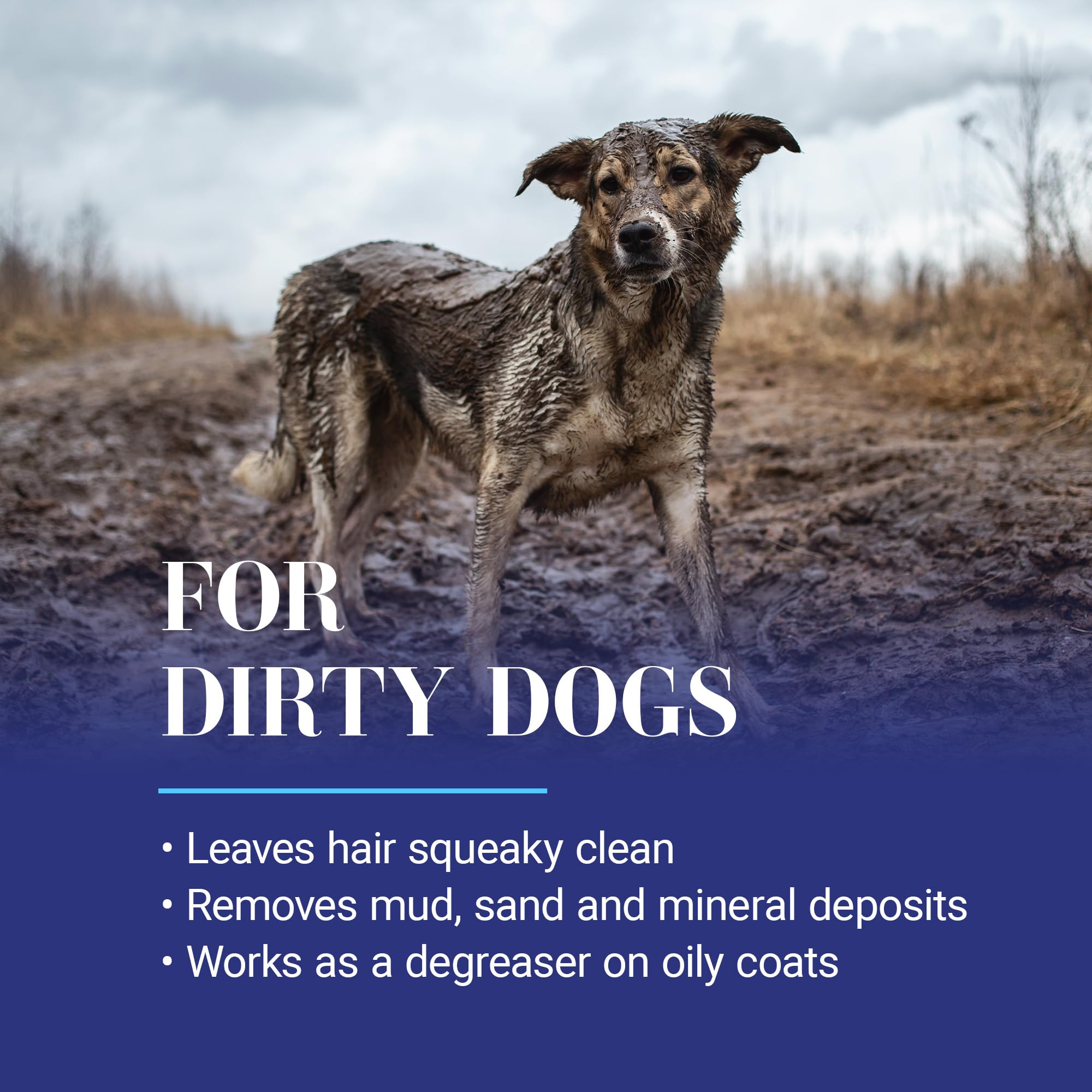 Dog bath with Clean Start removes dirt for a refreshed coat