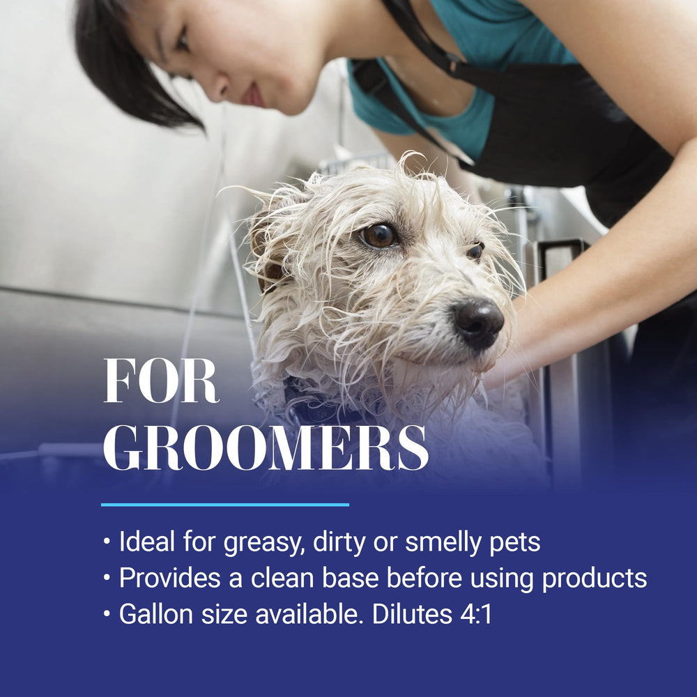 Professional groomer uses Clean Start in a busy salon environment
