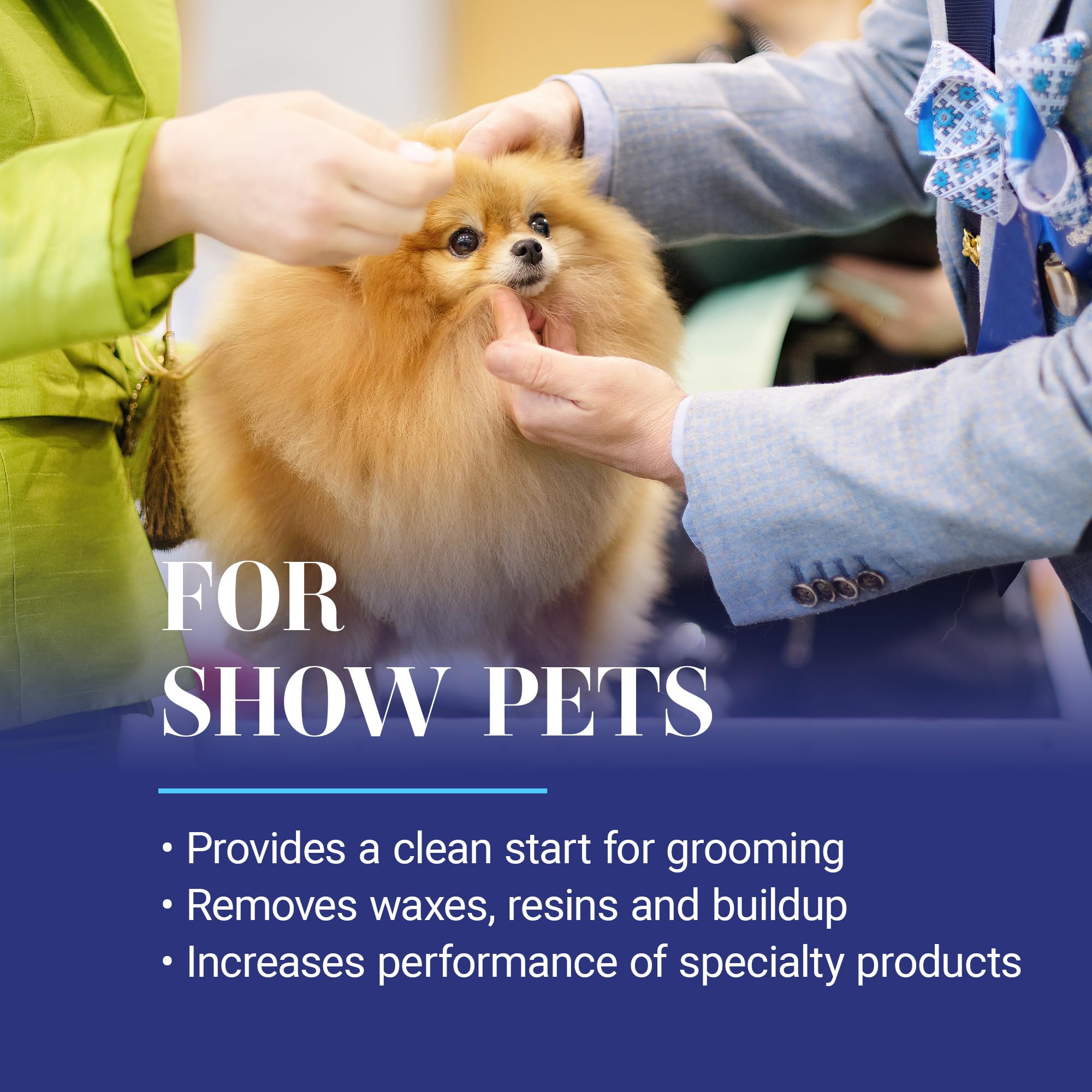 Soft, bouncy coat after cleansing with Chris Christensen Clean Start