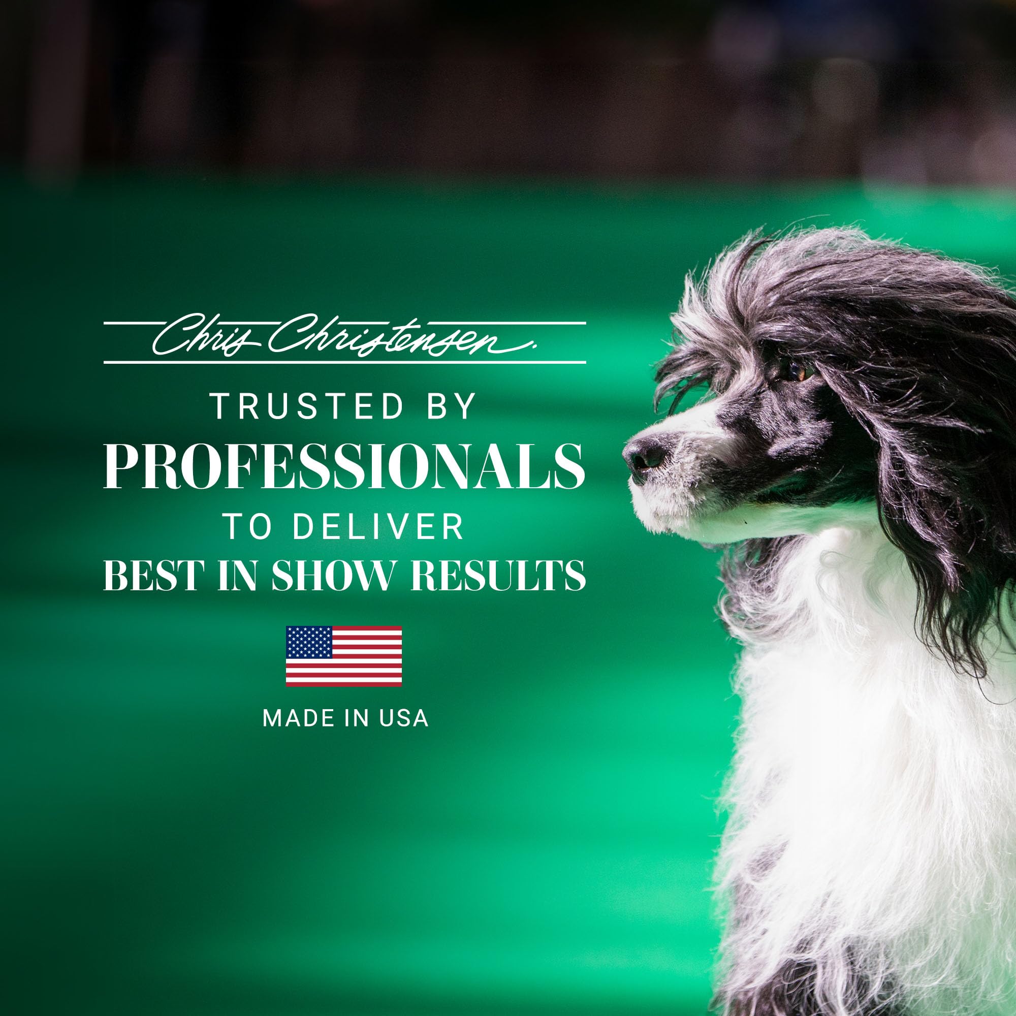 Daily pet care ritual with Brooklynn's Sweet & Sassy fragrance.