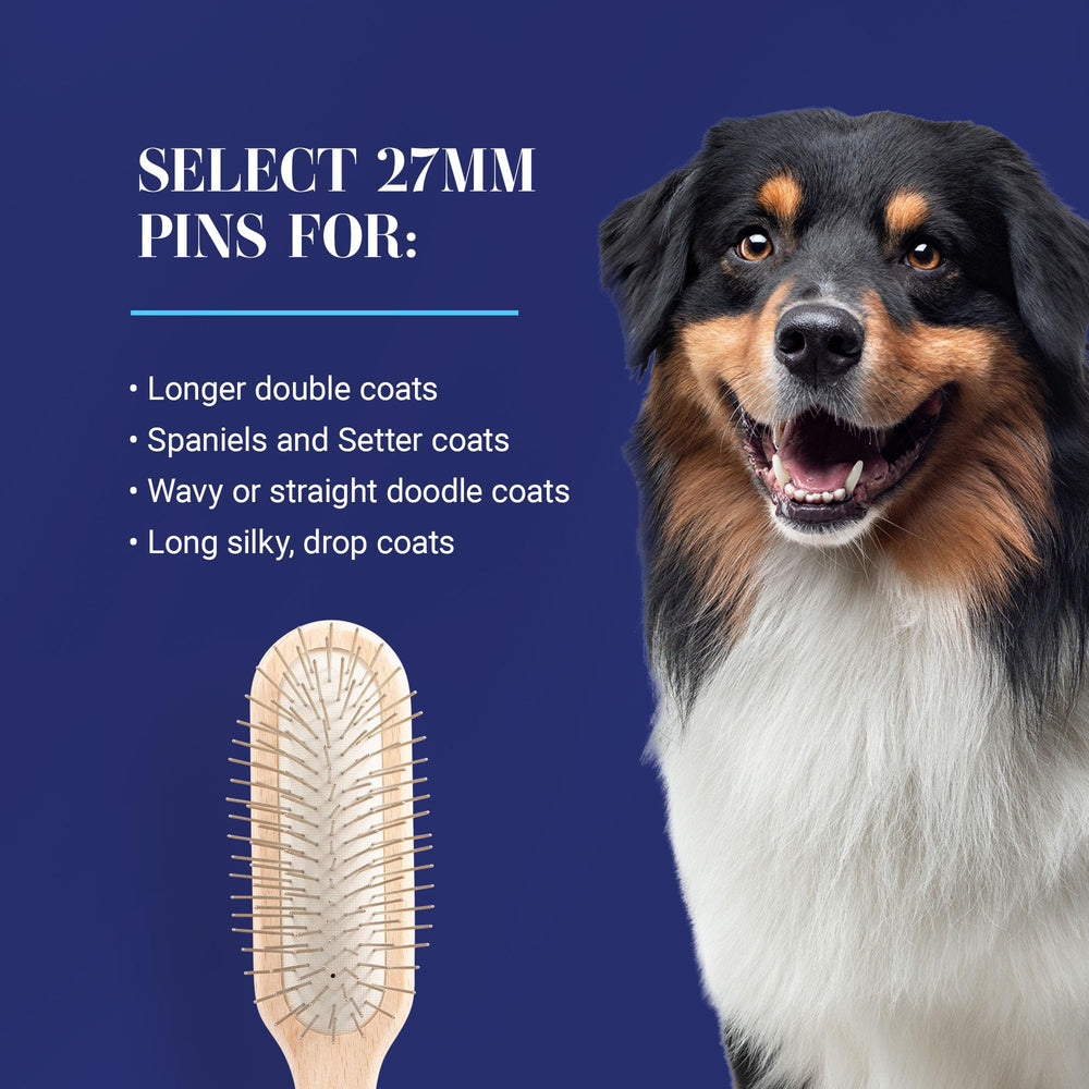 Stainless steel pins with ground polished tips for firm, comfortable contact.