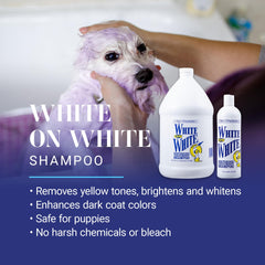 White on White lather on a dog coat enhances brightness