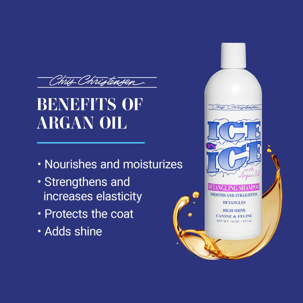 Rich lather from Ice on Ice shampoo on a damp dog coat.