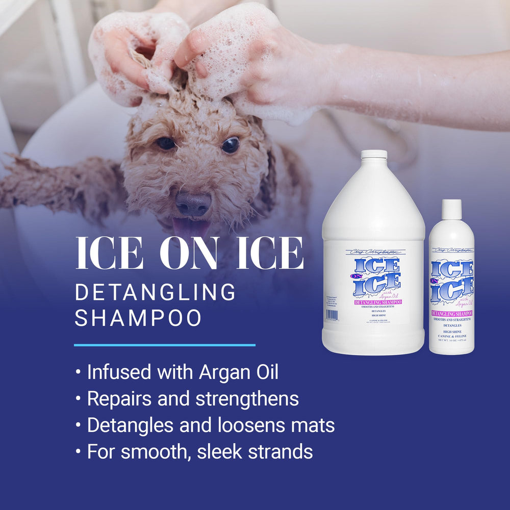 Pouring Ice on Ice shampoo to start a coat cleansing journey.