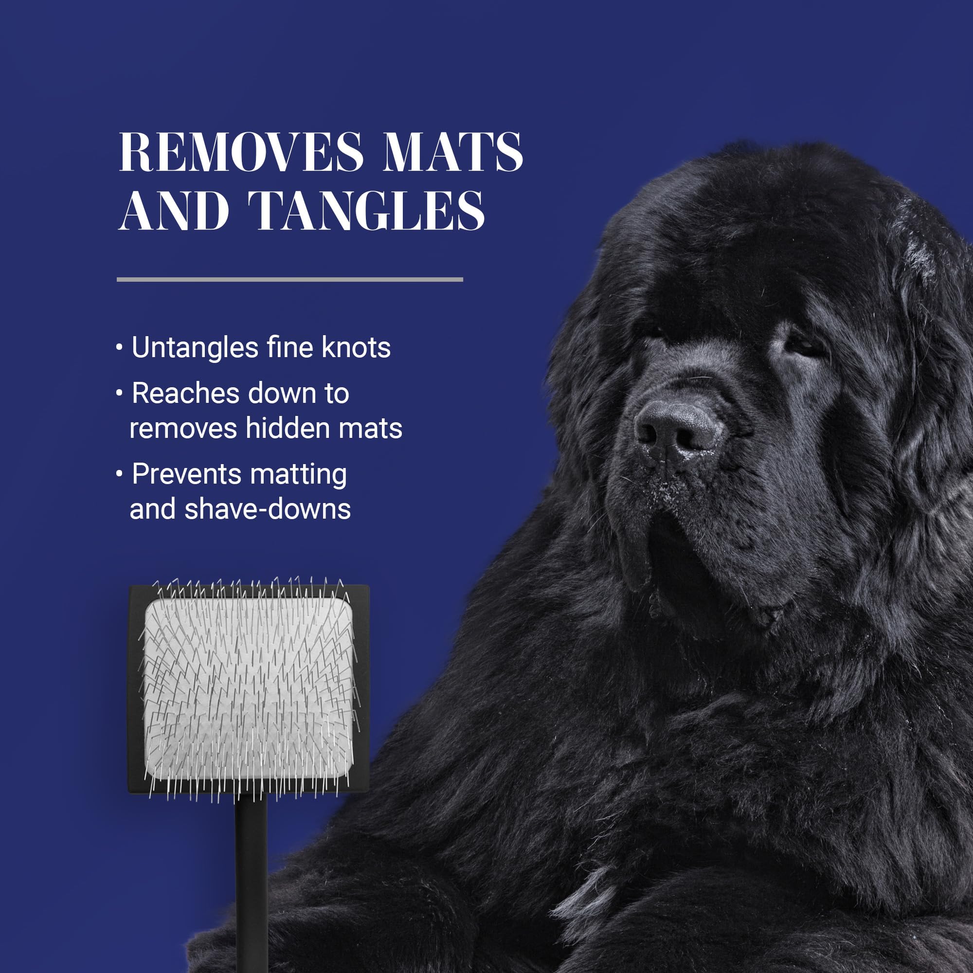 Chris Christensen Baby K Slicker Brush, soft-pins focus, minimizes coat damage while brushing.