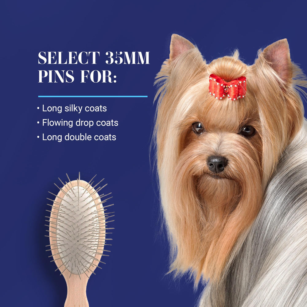 Chris Christensen mini oval pin brush travel-friendly for face and feet.