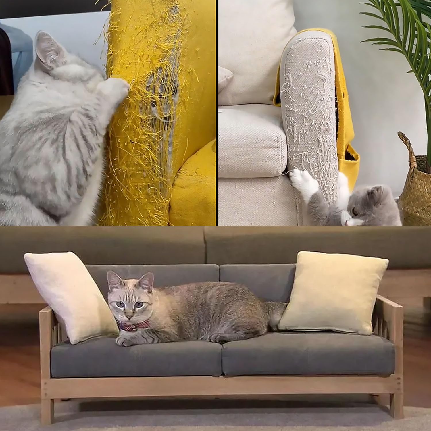 CHUANGSEED discreet couch protector tape protects upholstery