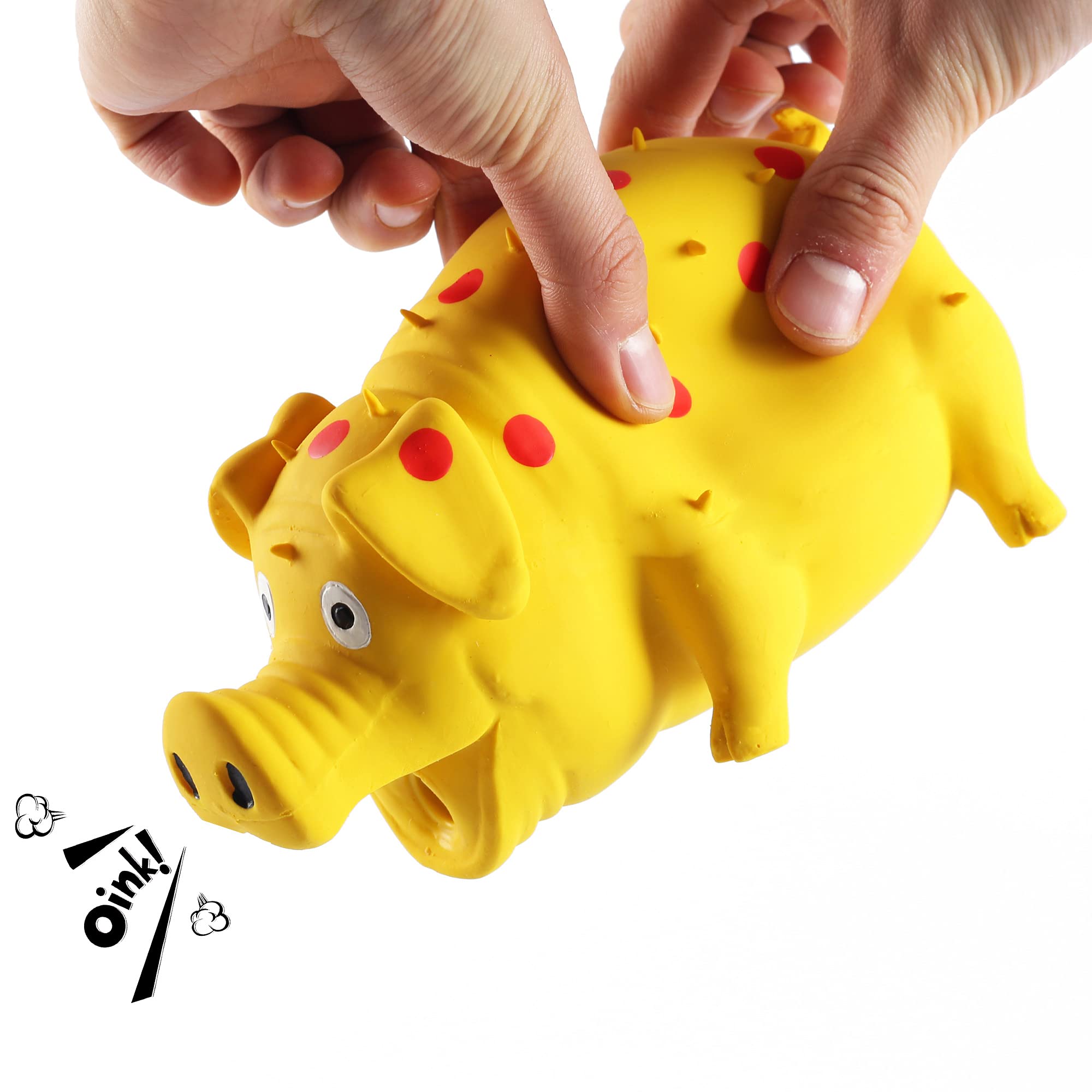ChubbyPiggies 3-Pack squeaky pig toys during playtime, promoting interactive training and enrichment.