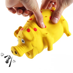 ChubbyPiggies 3-Pack squeaky pig toys during playtime, promoting interactive training and enrichment.