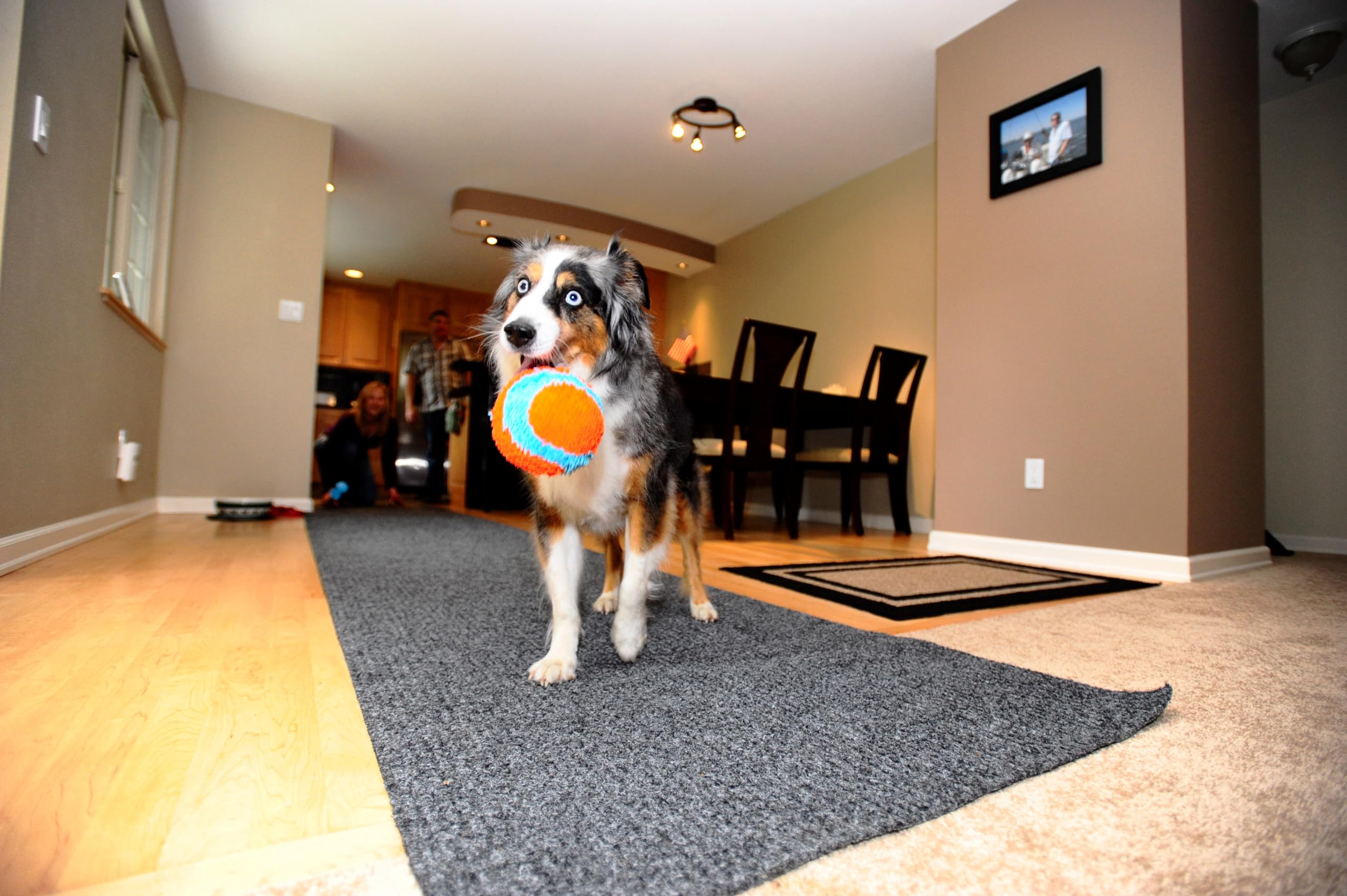 Compact 4.75-inch Chuckit ball ideal for small dogs and puppies.