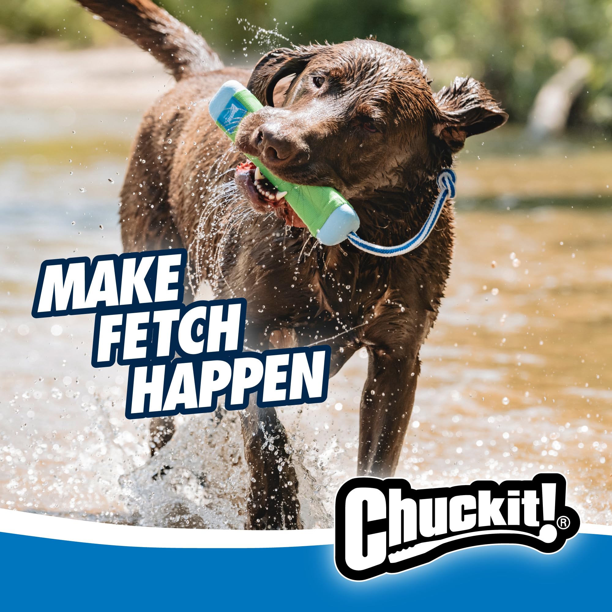 Chuckit Amphibious Bumper rope handle for secure, precise throws.
