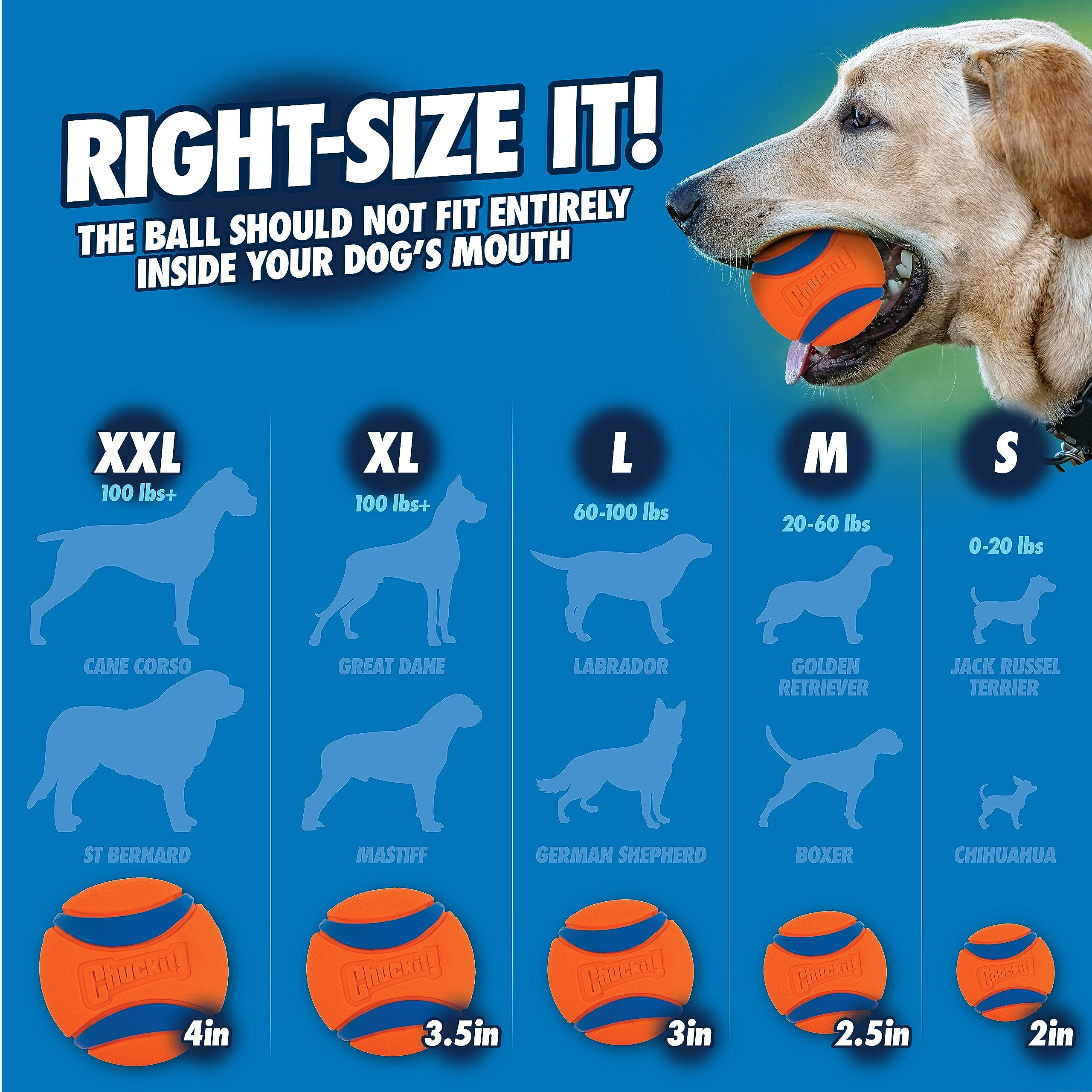 Floating Chuckit! ball ideal for poolside fetch sessions.