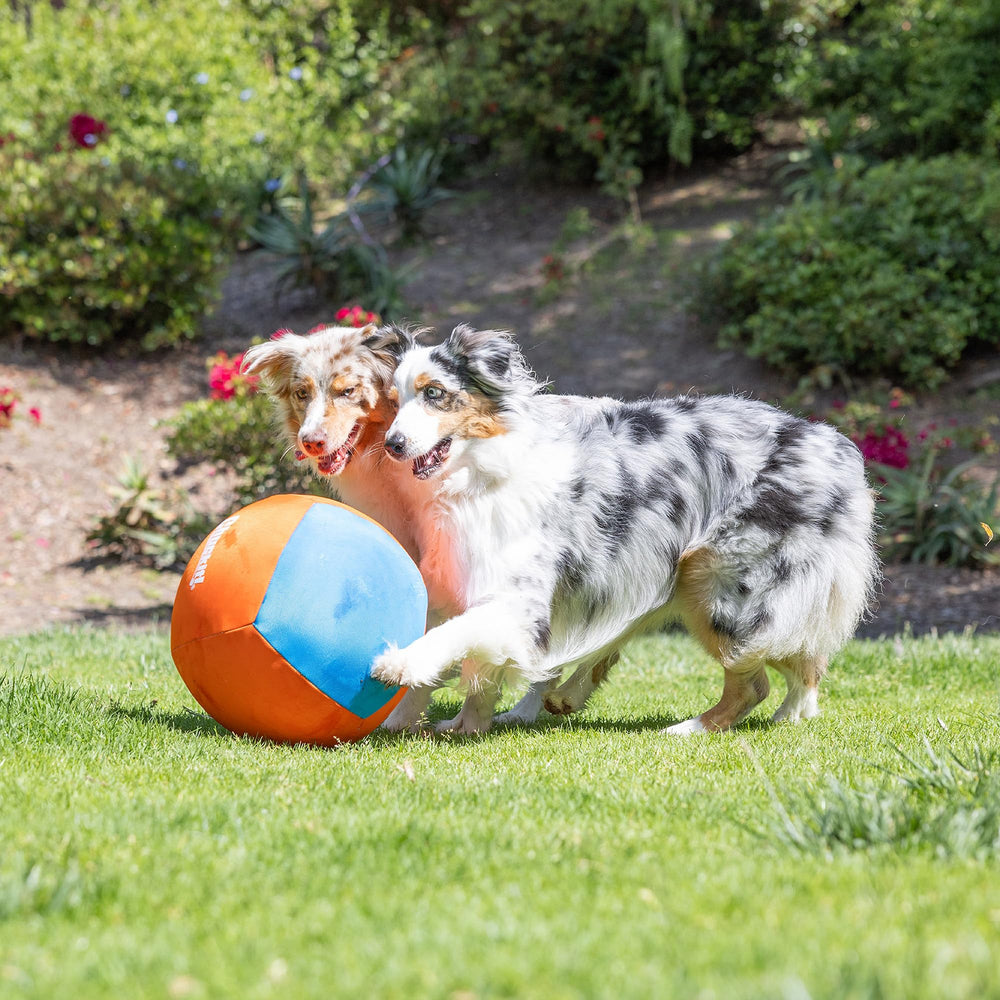 Chuckit! Big Air Ball suits dogs of all sizes for low-impact fetch.