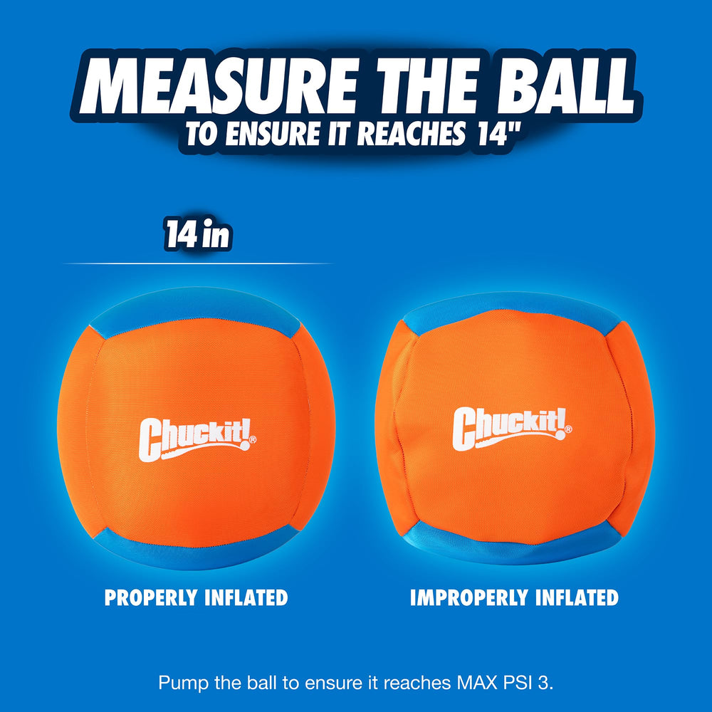 Chuckit! Big Air Ball taps into natural instincts during Treibball-inspired sessions.