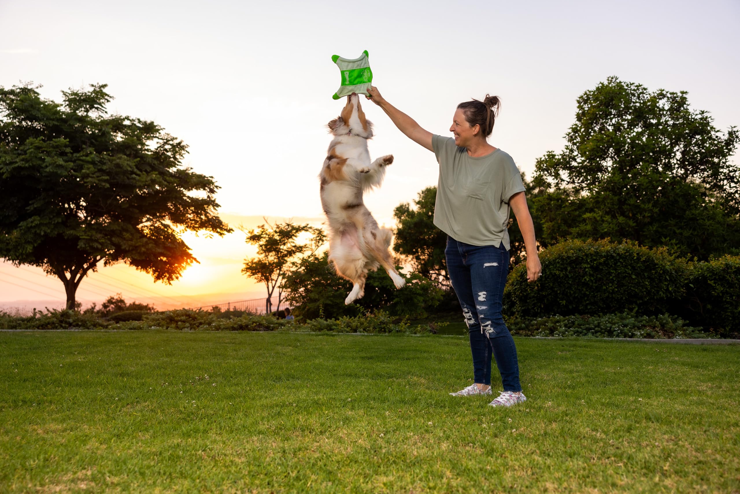 Chuckit! 10.5-inch Glow Squirrel suits dogs of all sizes