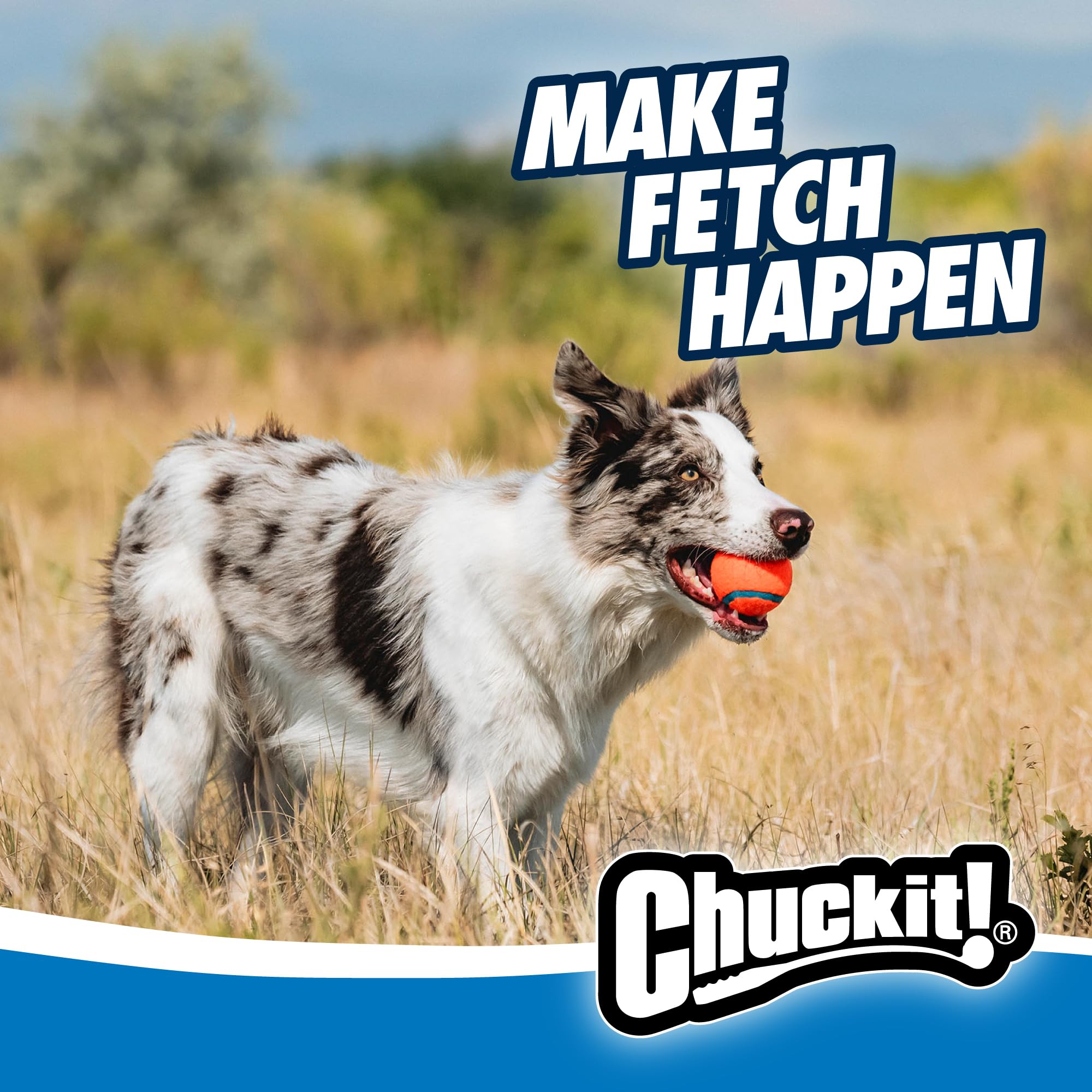 Durable Classic Chuckit! launcher designed for daily dog fetch sessions.