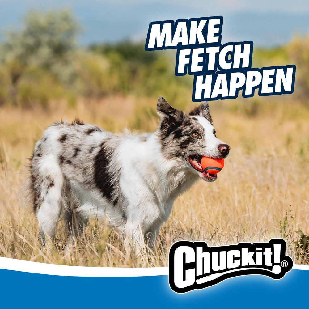 Durable Classic Chuckit! launcher designed for daily dog fetch sessions.