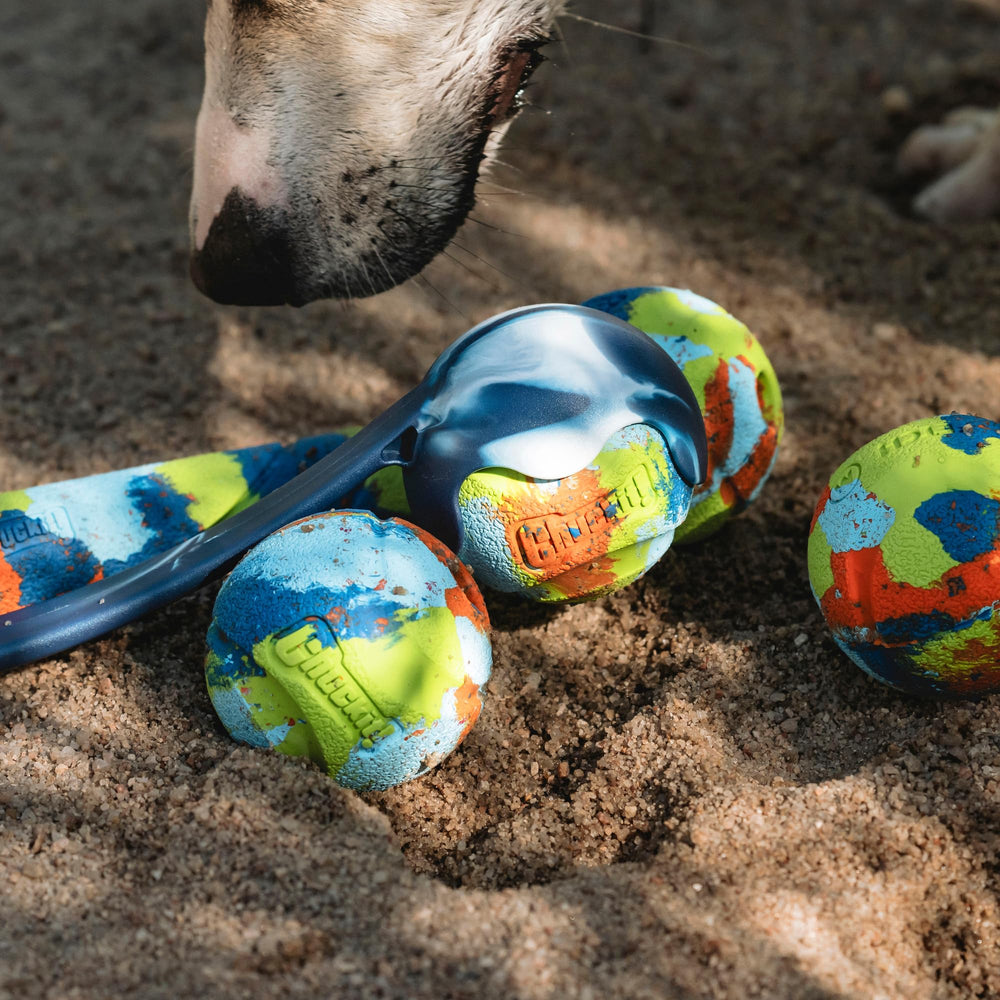 Chuckit EcoFetch ball vibrant patterns with high visibility.