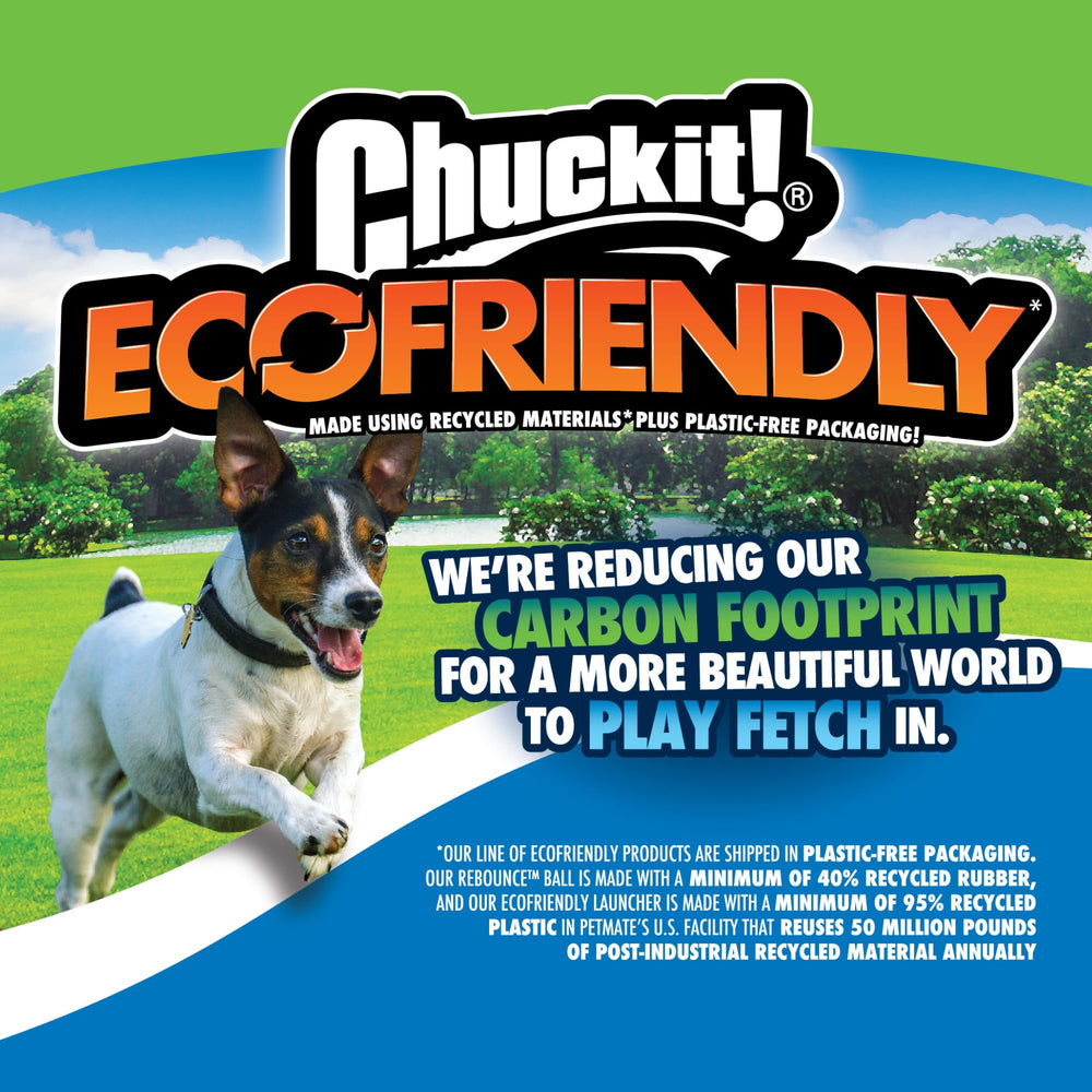 Chuckit EcoFetch ball highlights eco-conscious material.