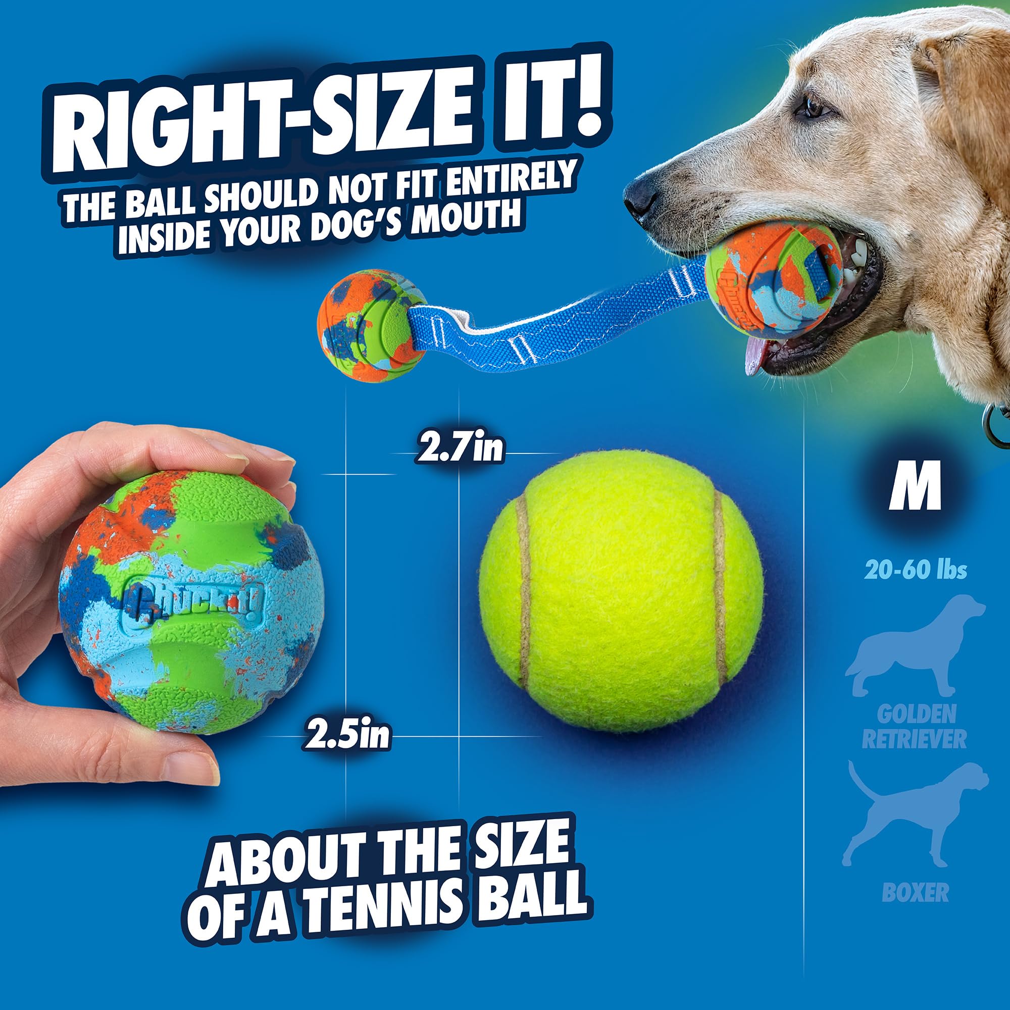 Chuckit EcoFetch ball in action for long retrieves with a launcher.