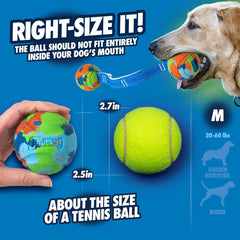 Chuckit EcoFetch ball in action for long retrieves with a launcher.