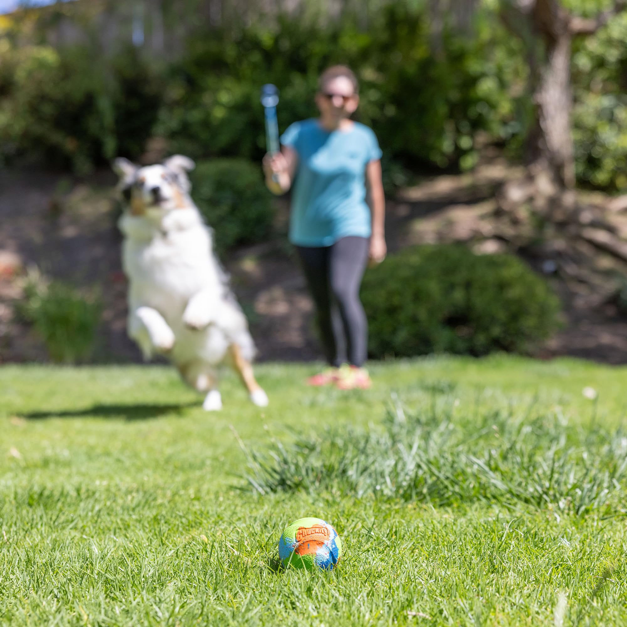Chuckit EcoFetch ball for extended throws with compatible launchers.