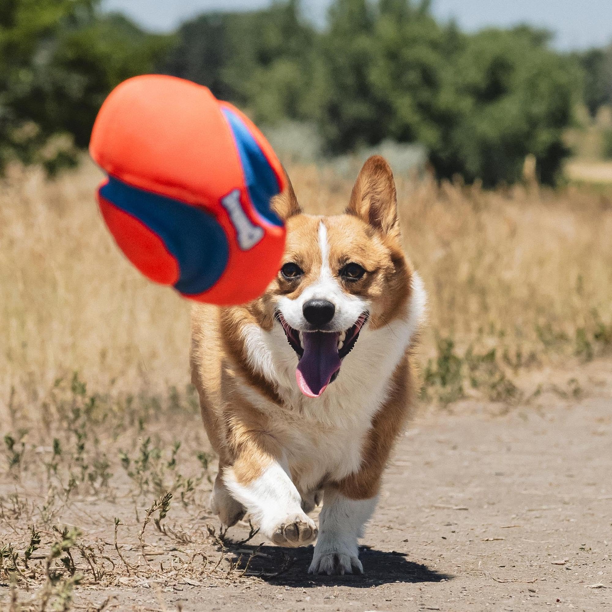 Chuckit! Fumble Fetch easy pickup helps quick, responsive play sessions